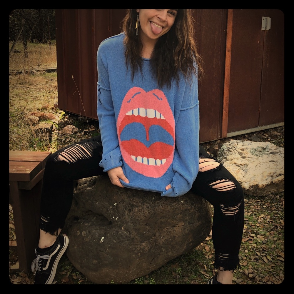 Wildfox sweater